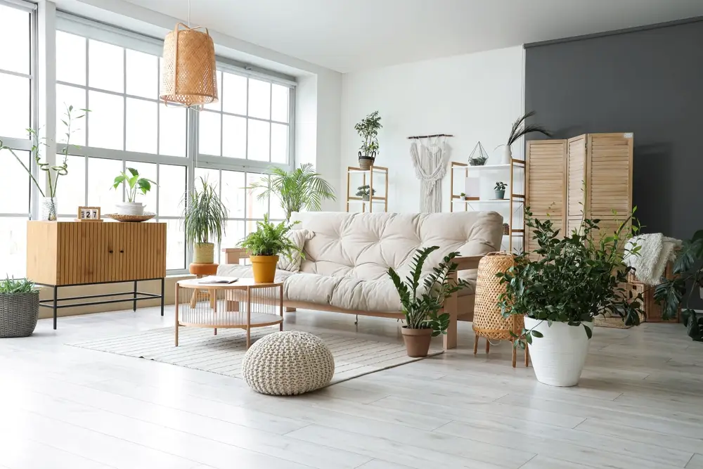 salon moderne